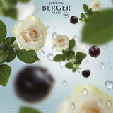 Maison Berger Diffuser Lamp Fragrance Refill 1 Liter Precious Ocean Breeze