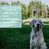 Lumintrail Dog Bike Leash Attachment for Hands Free Dog Walking and Exercise - Leash Included