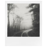 Polaroid Originals 4669 Black & White (B&W) Instant Film for i-Type Cameras