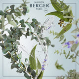 Maison Berger Fresh Eucalyptus Fragrance Refill 1 Liter Lamp Oil Diffuser