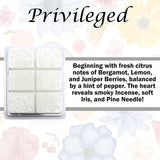 Tyler Candle Mixer Melts, Privileged Scent, 6 Piece Scented Wax Tarts
