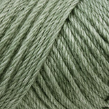 Caron Bulk Buy Simply Soft Heather Yarn (3-Pack) Woodland H9700H-9503