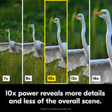 Nikon Action 10x50 Binocular | Multilayer-Coated Nikon Optics, 50mm Objective Lenses, 10X Power, Turn-and-Slide Adjustable Eyecups and Tripod-Ready