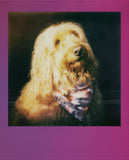 Polaroid Go Color Film Double Pack - Gradient Frames