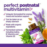 New Chapter Perfect Postnatal Multivitamin - 192 Vegetarian Tablets
