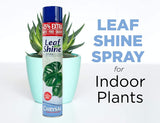 Chrysal Leaf Shine Spray 25 fl. oz. (750 mL), High Gloss